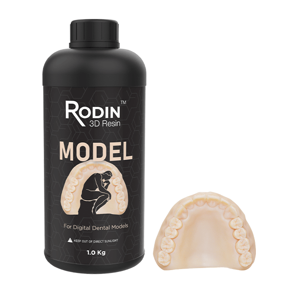 Rodin Model